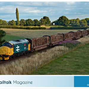 Issue 191